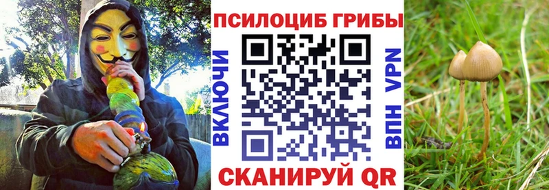 Галлюциногенные грибы GOLDEN TEACHER  Радужный 