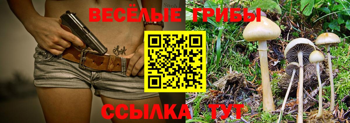 Галлюциногенные грибы прущие грибы Радужный